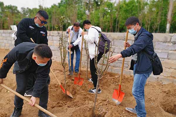 鹤年堂党建植树活动